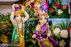 Daily Darshan