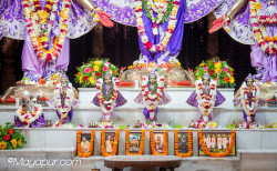 Daily Darshan