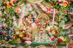 Daily Darshan