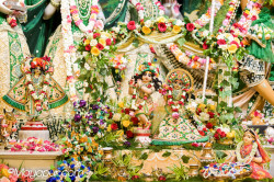 Daily Darshan