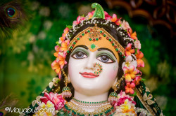 Daily Darshan