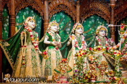 Daily Darshan