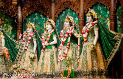 Daily Darshan