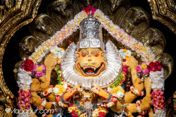 Daily Darshan