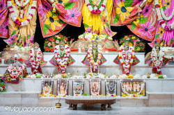 Daily Darshan