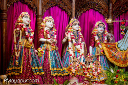 Daily Darshan