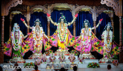 Daily Darshan
