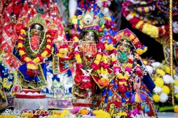 Daily Darshan