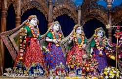 Daily Darshan