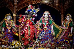 Daily Darshan