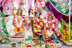 Daily Darshan