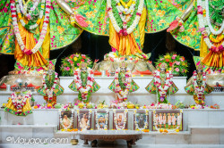 Daily Darshan