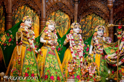 Daily Darshan
