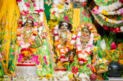 Daily Darshan