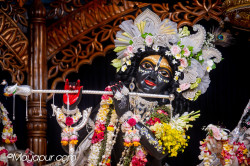 Daily Darshan