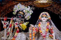 Daily Darshan