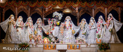 Daily Darshan