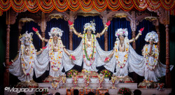 Daily Darshan