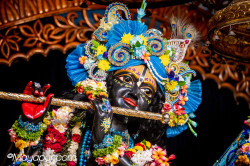 Daily Darshan