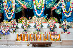 Daily Darshan