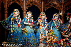 Daily Darshan