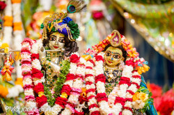 Daily Darshan