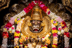 Daily Darshan