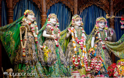 Daily Darshan