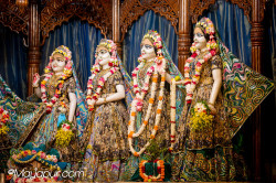 Daily Darshan