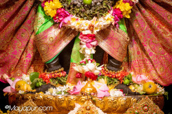 Daily Darshan