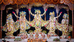 Daily Darshan