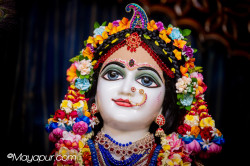 Daily Darshan