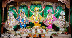 Daily Darshan