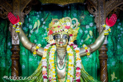 Daily Darshan