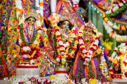 Daily Darshan