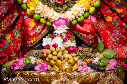 Daily Darshan