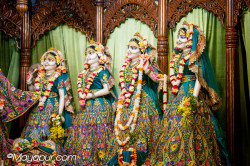 Daily Darshan
