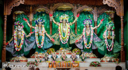 Daily Darshan