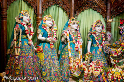 Daily Darshan