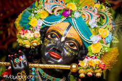 Daily Darshan