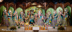 Daily Darshan