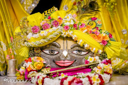 Daily Darshan