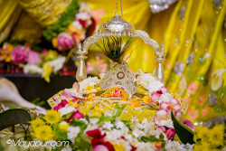 Daily Darshan