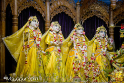 Daily Darshan