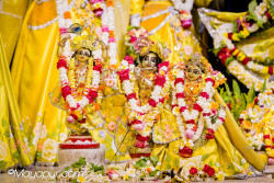 Daily Darshan