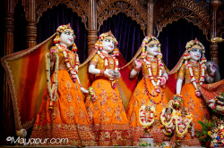 Daily Darshan