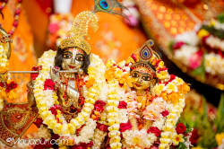 Daily Darshan