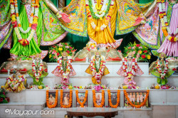 Daily Darshan