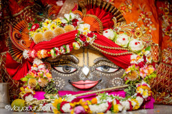 Daily Darshan