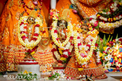 Daily Darshan